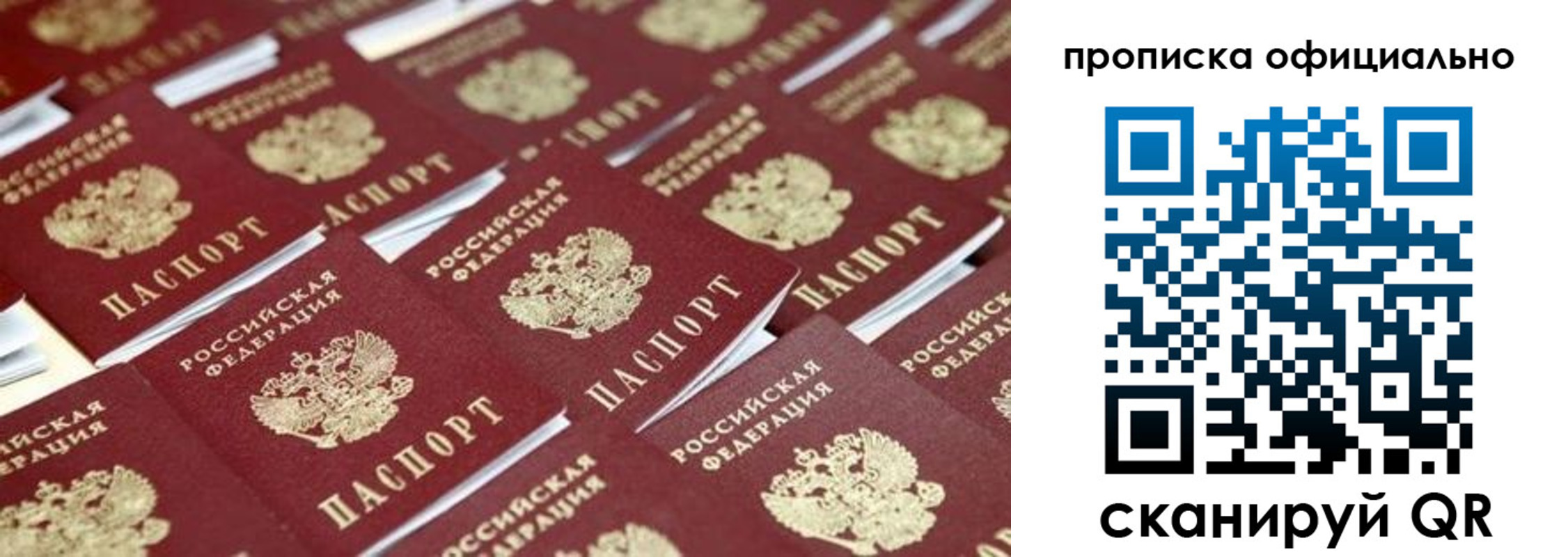 прописка гарантия в Истре